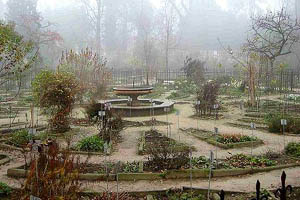 Orto Botanico